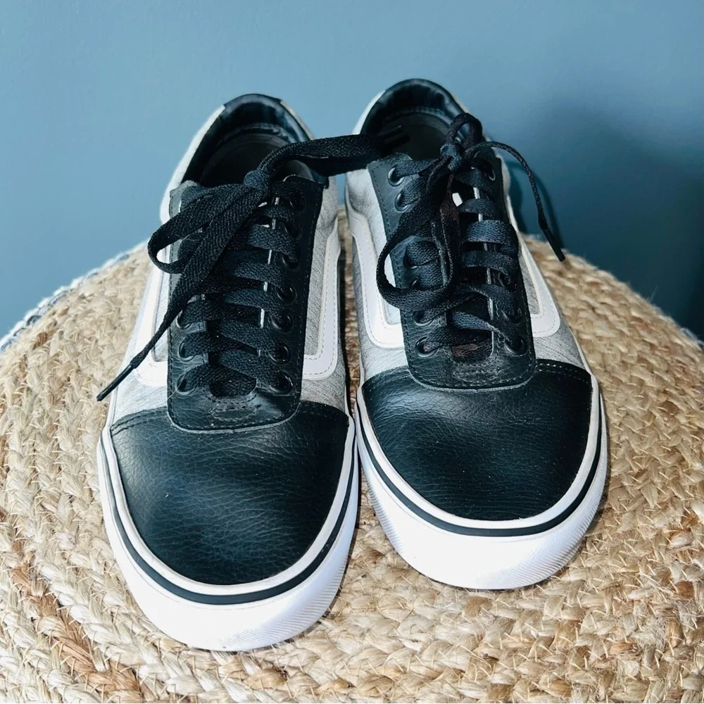 Vans Ward Low Skateboard Shoes